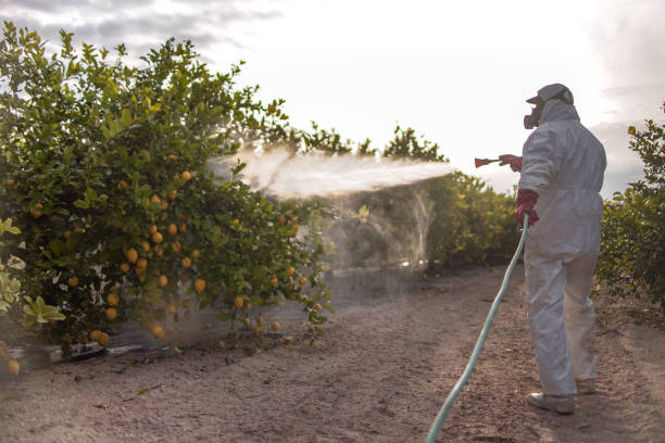 Best Wildlife Control Services  in Harper, TX