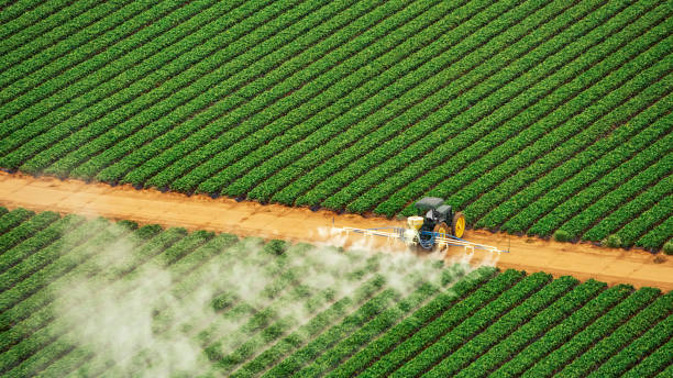 Best Pest Removal Services  in Harper, TX