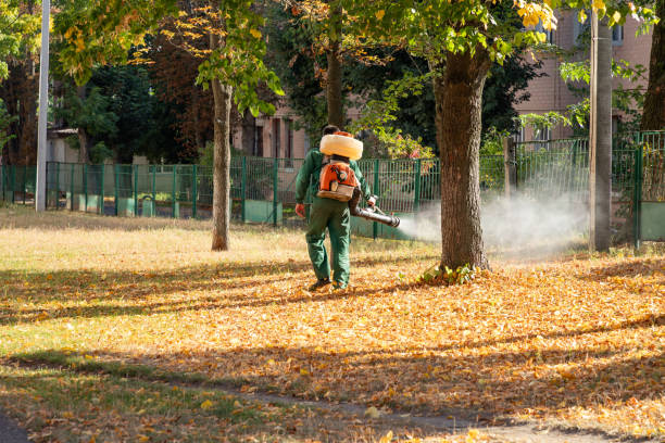 Best Local Pest Control Services  in Harper, TX