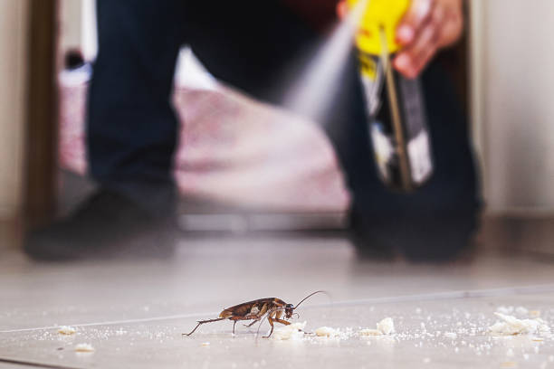 Best Pest Prevention Services  in Harper, TX